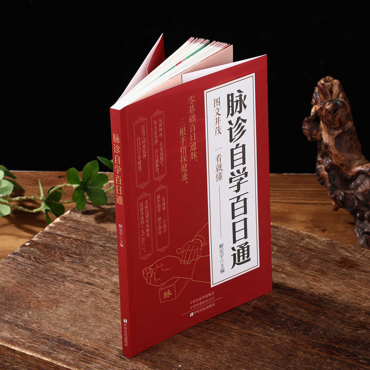 Pulse Diagnosis Self Study Hun - Health & Wellness Resources 评论和价格
