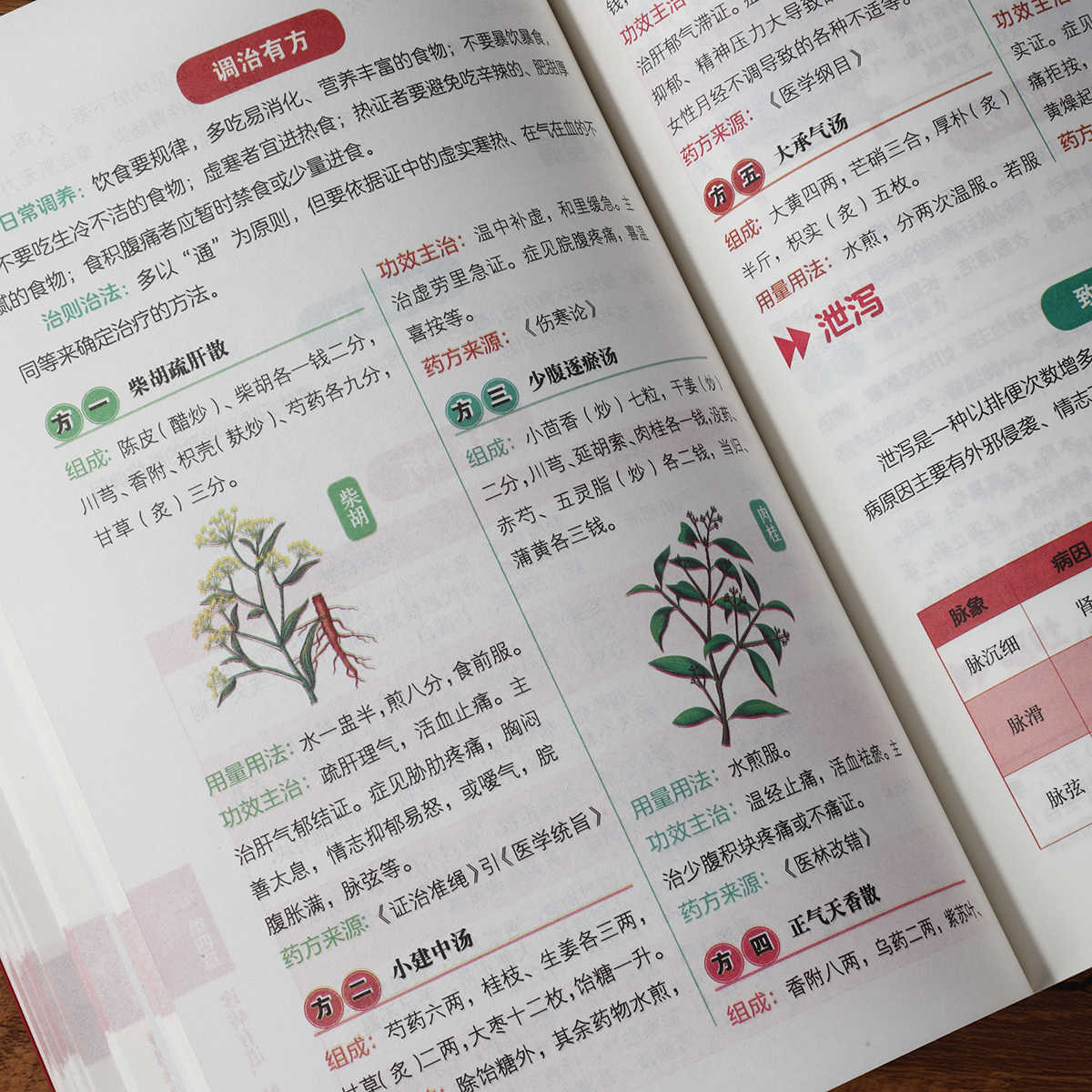 Pulse Diagnosis Self Study Hun - Health & Wellness Resources 评论和价格